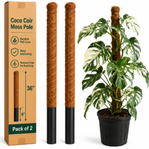 Coco Moss Pole